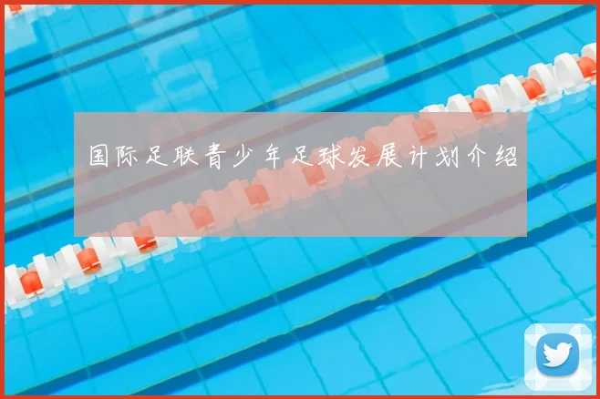国际足联青少年足球发展计划介绍