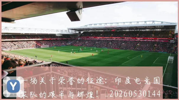 一场关于荣誉的征途：印度电竞国家队的艰辛与辉煌！_20260530144128_20260702173427