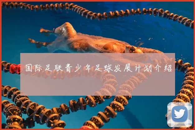 国际足联青少年足球发展计划介绍